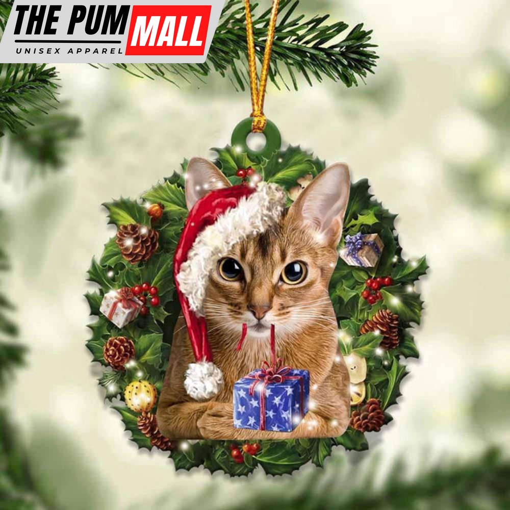 Abyssinian Cat And Christmas Ornament 2023 Christmas Tree Ornaments, Gift For Cat Lover Limited Edition