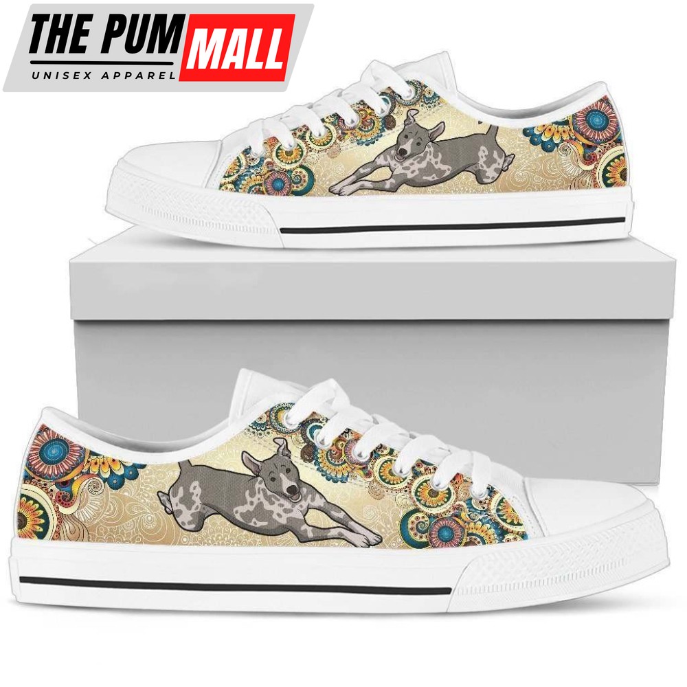 American Hairless Terrier Women’s Low-Top Shoe: A Unique and Stylish Choice