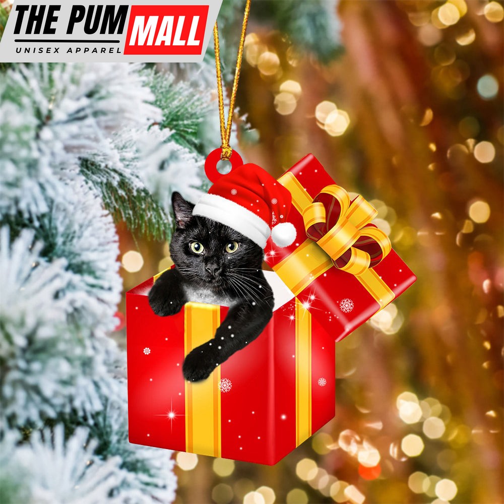 Black Cat In Red Gift Box Christmas Ornament – Holiday Dog Ornaments Limited Edition