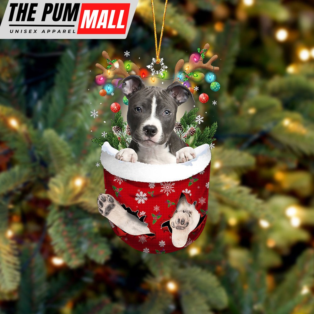 Blue Nose Pitbull In Snow Pocket Christmas Ornament – Two Sided Christmas Plastic Hanging Limited Edition