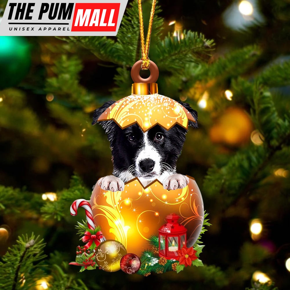 Border Collie In Golden Egg Christmas Ornament – Car Ornament – Unique Dog Gifts For Owners Limited Edition