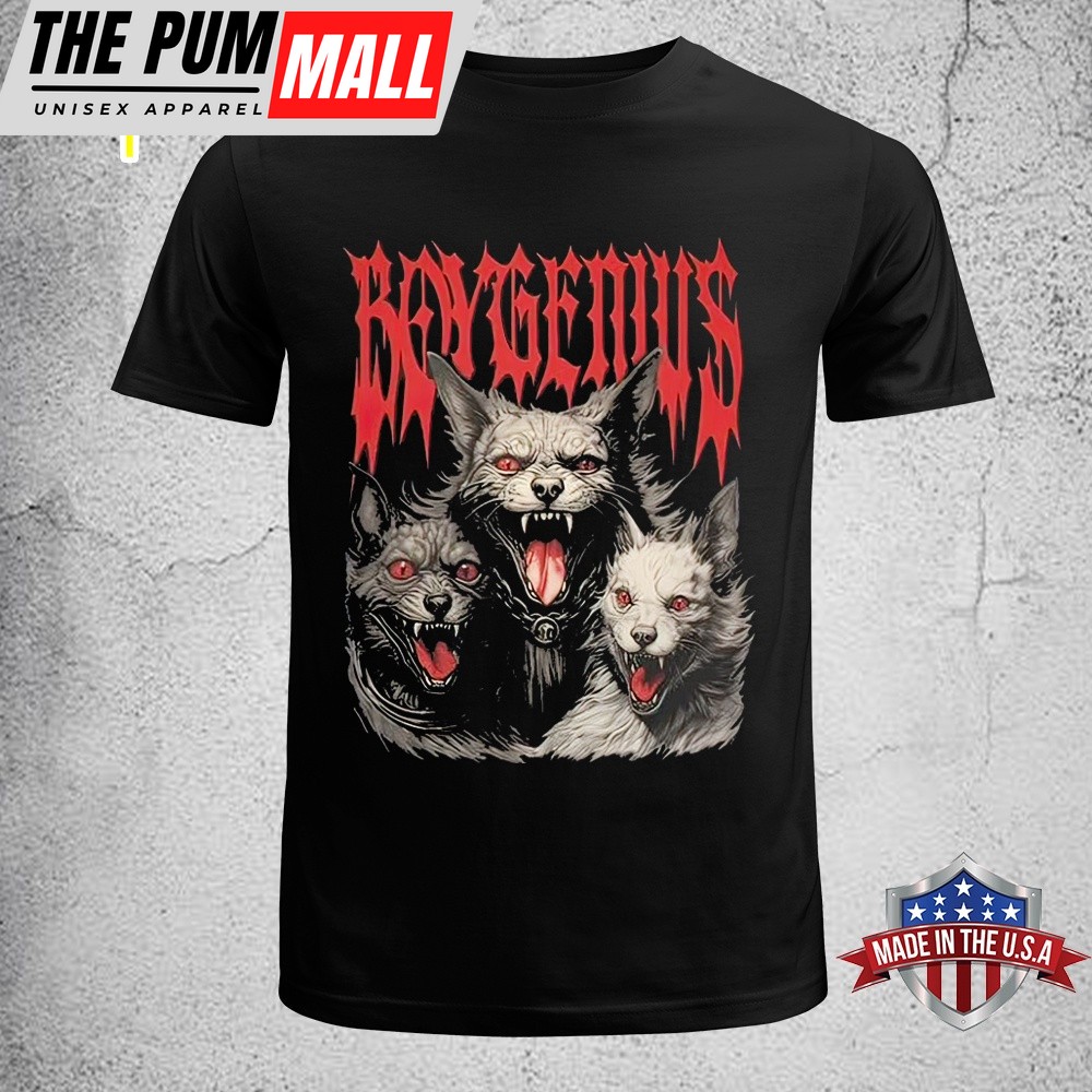 Boygenius Band 2025 Tour Indie Rock Music Unisex T-Shirt