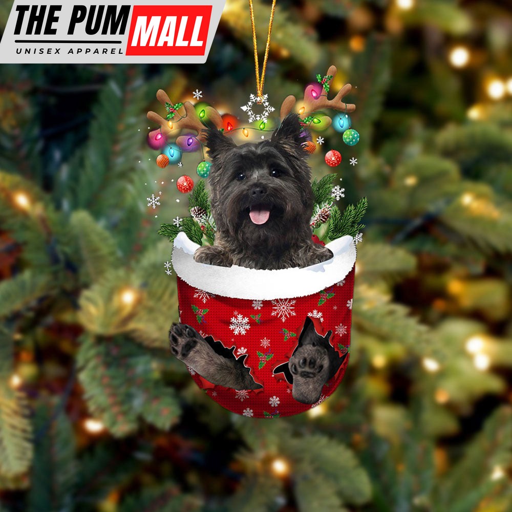 Cairn Terrier 2 In Snow Pocket Christmas Ornament – Two Sided Christmas Plastic Hanging Limited Edition