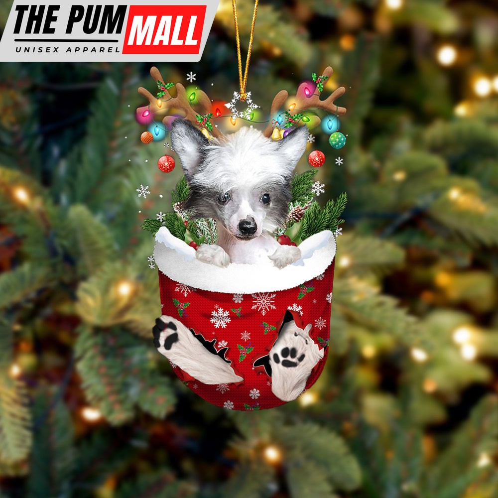 Chinese Crested Dog In Snow Pocket Christmas Ornament – Two Sided Christmas Plastic Hanging Limited Edition
