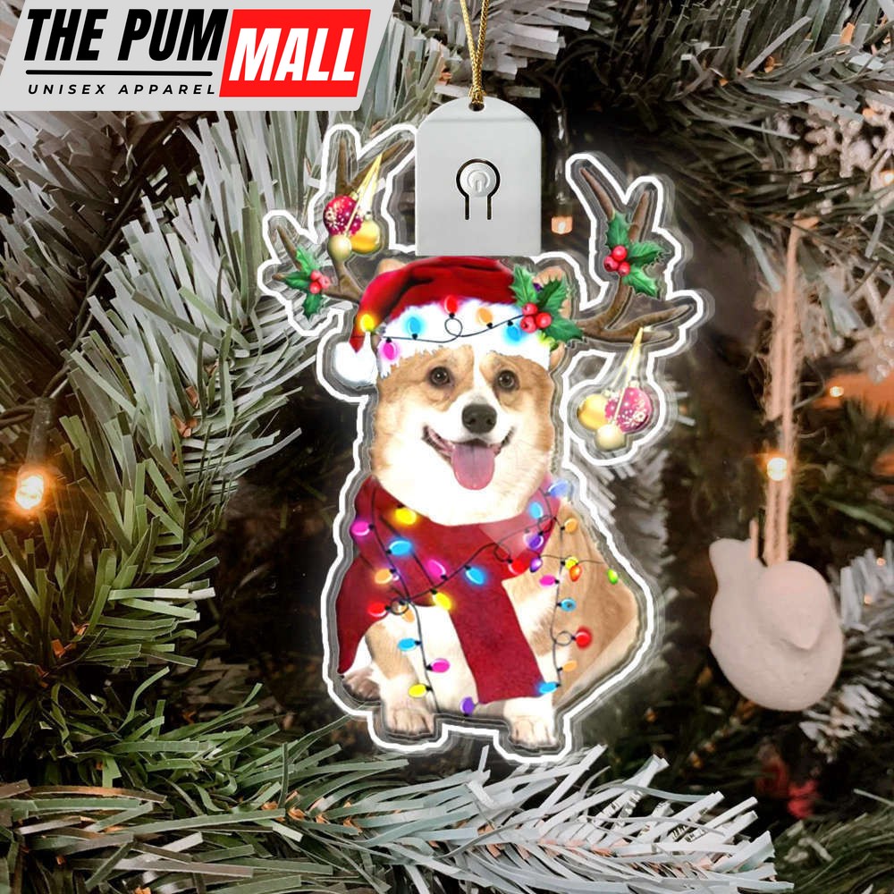 corgi-christmas-light-ornaments-lighted-christmas-tree-ornaments-gifts-for-corgi-m9npwoou Corgi Christmas Light Ornaments Lighted Christmas Tree Ornaments Gifts For Corgi Owners Limited Edition