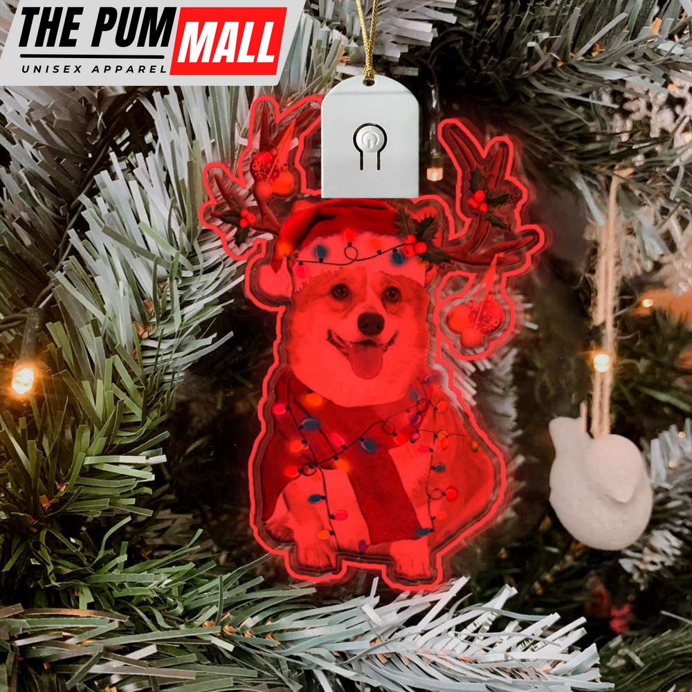 corgi-christmas-light-ornaments-lighted-christmas-tree-ornaments-gifts-for-corgi-m9npwoou Corgi Christmas Light Ornaments Lighted Christmas Tree Ornaments Gifts For Corgi Owners Limited Edition