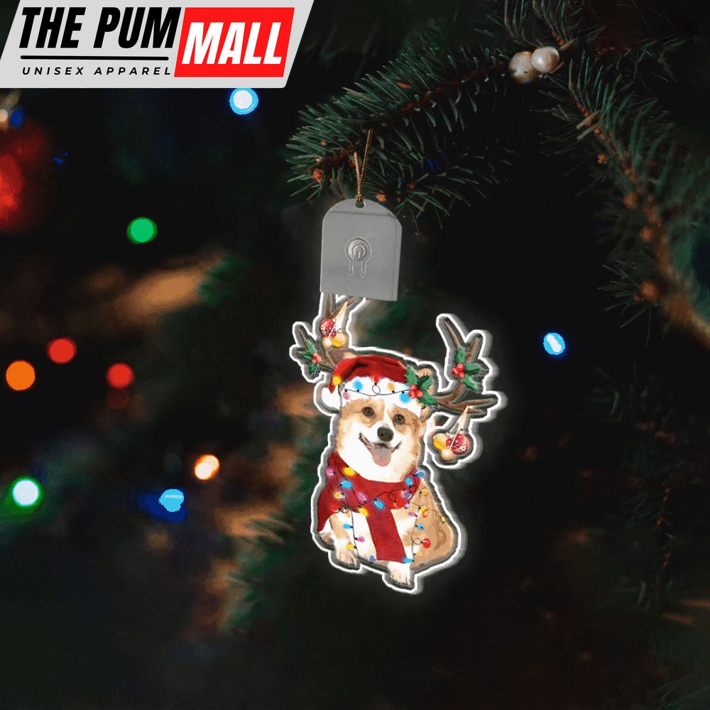 corgi-christmas-light-ornaments-lighted-christmas-tree-ornaments-gifts-for-corgi-m9npwoou Corgi Christmas Light Ornaments Lighted Christmas Tree Ornaments Gifts For Corgi Owners Limited Edition