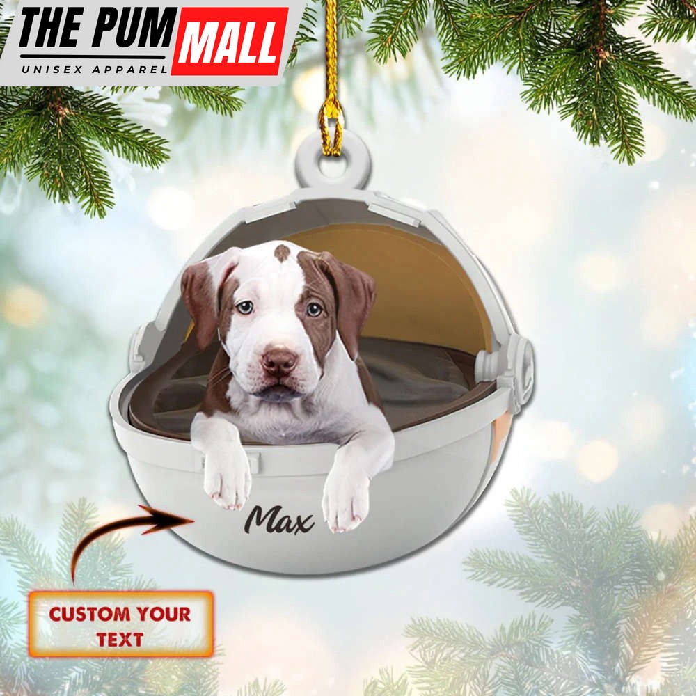 Custom Pitbull Christmas Ornament Personalized Pitbull Ornaments Gifts Limited Edition