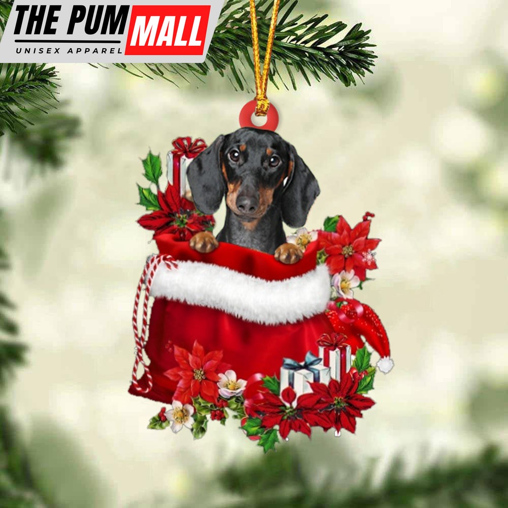 Dachshund 2 In Gift Bag Christmas Ornament – Car Ornaments – Gift For Dog Lovers Limited Edition