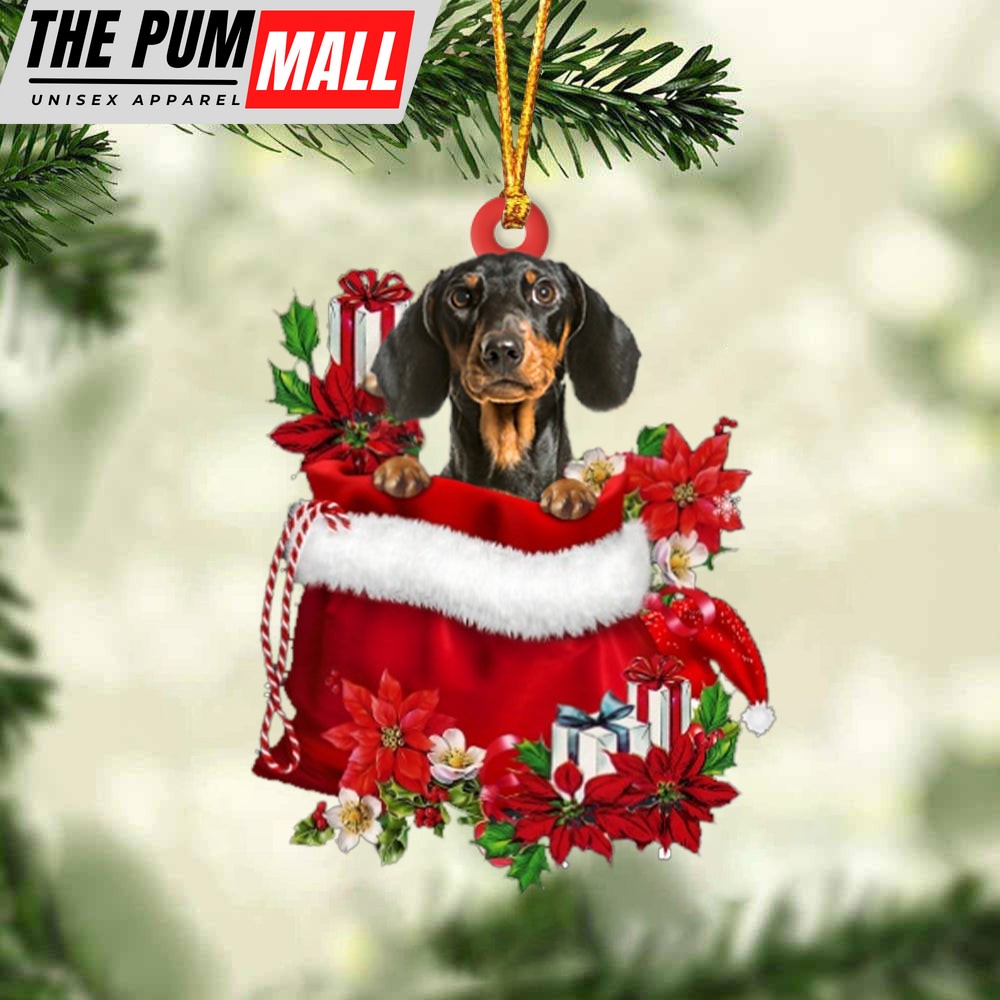 Dachshund 3 In Gift Bag Christmas Ornament – Car Ornaments – Gift For Dog Lovers Limited Edition
