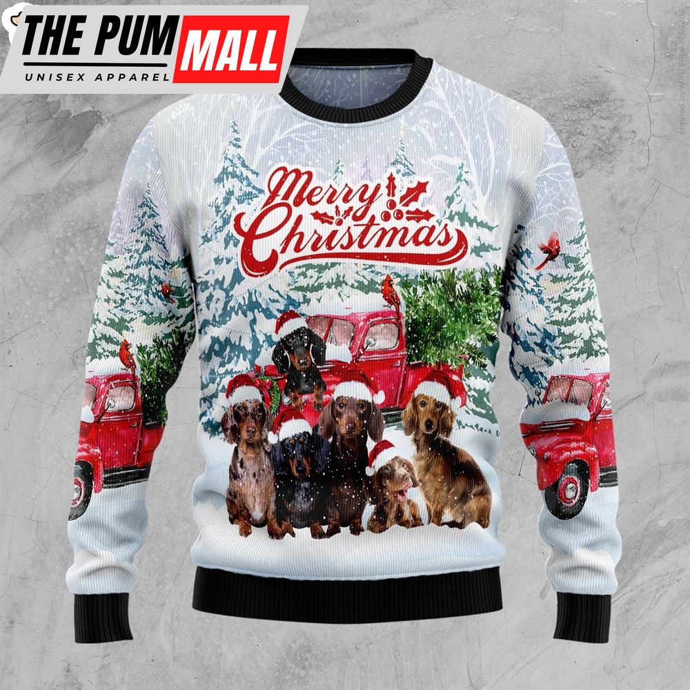 Dachshund Merry Christmas Ugly Christmas Sweater – Xmas Gifts For Dog Lovers – Gift For Christmas
