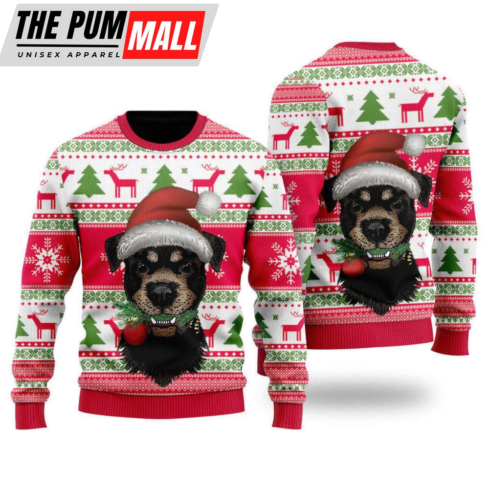 Dog Santas Hat Holiday Time Pattern Ugly Christmas Sweater For Men & Women