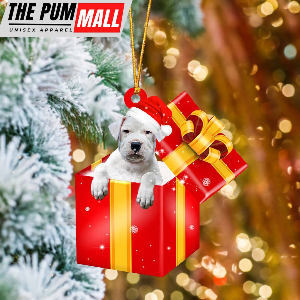 Dogo Argentino In Red Gift Box Christmas Ornament – Holiday Dog Ornaments Limited Edition