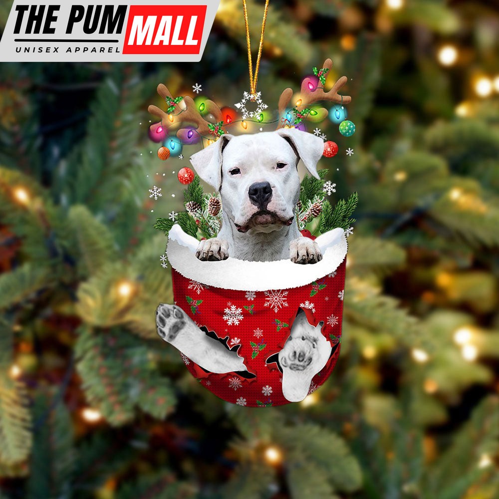 Dogo Argentino In Snow Pocket Christmas Ornament – Two Sided Christmas Plastic Hanging Limited Edition