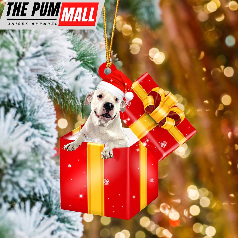Dogo Argentino06 In Red Gift Box Christmas Ornament – Holiday Dog Ornaments Limited Edition