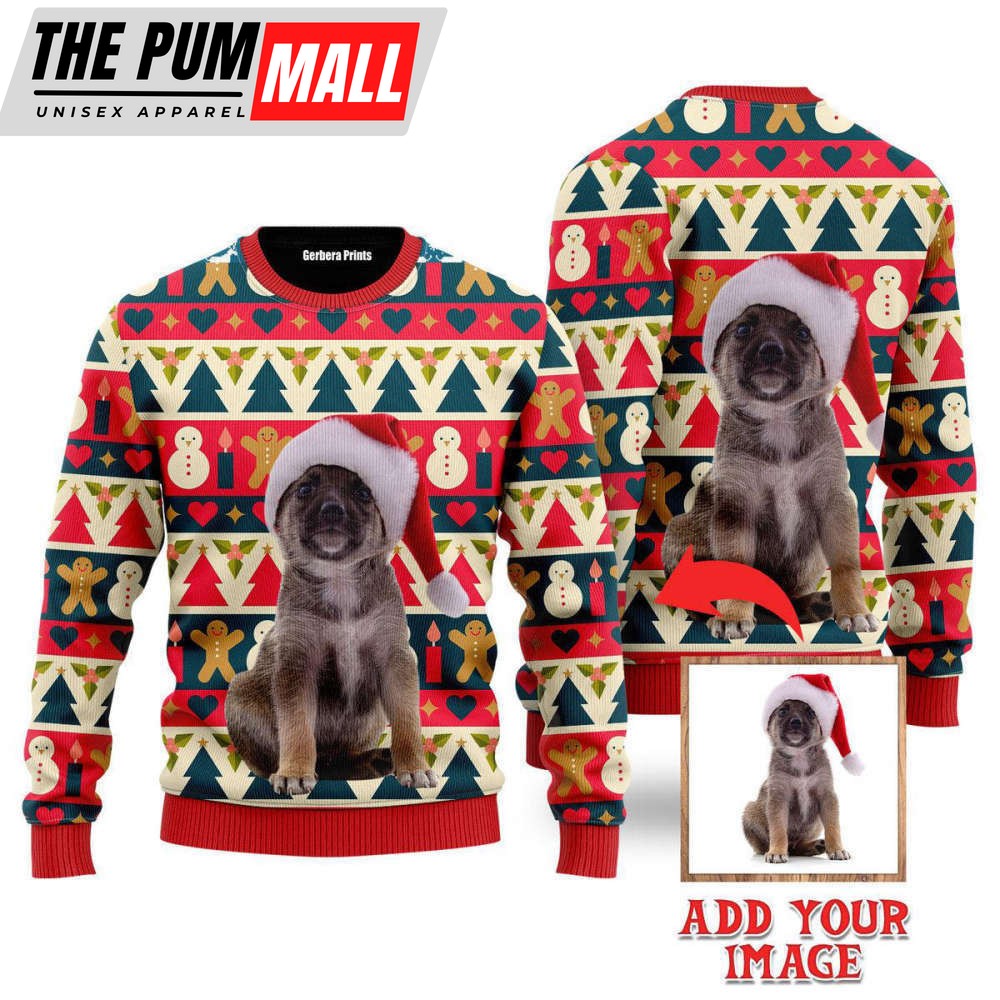 Funny Christmas Dog In Striped Xmas Custom Christmas Sweaters For Men & Women