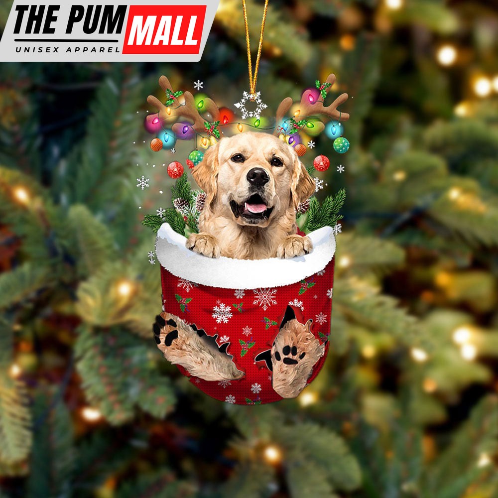 Golden Retriever 2 In Snow Pocket Christmas Ornament – Two Sided Christmas Plastic Hanging Limited Edition