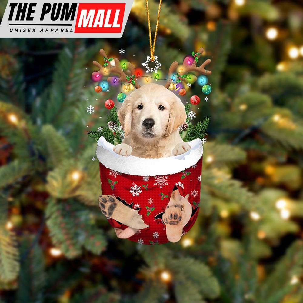 Golden Retriever In Snow Pocket Christmas Ornament – Two Sided Christmas Plastic Hanging Limited Edition