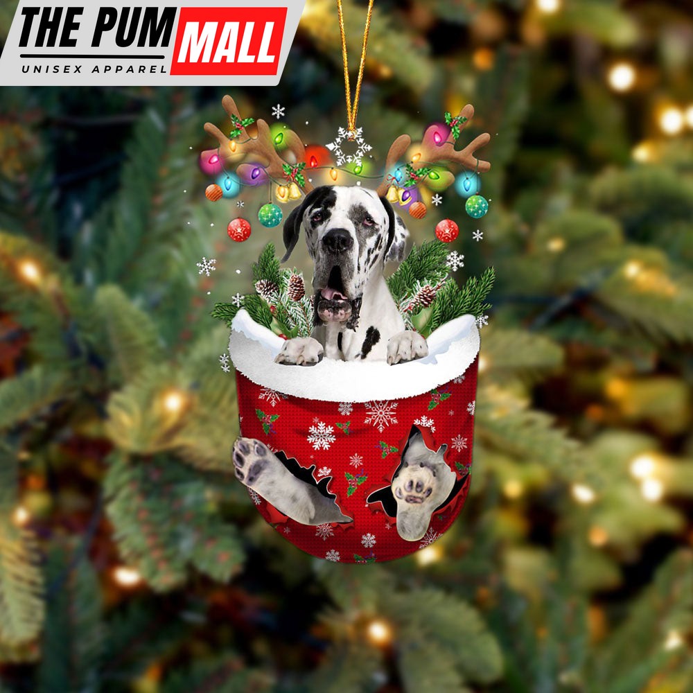 Great Dane 2 In Snow Pocket Christmas Ornament – Two Sided Christmas Plastic Hanging Limited Edition