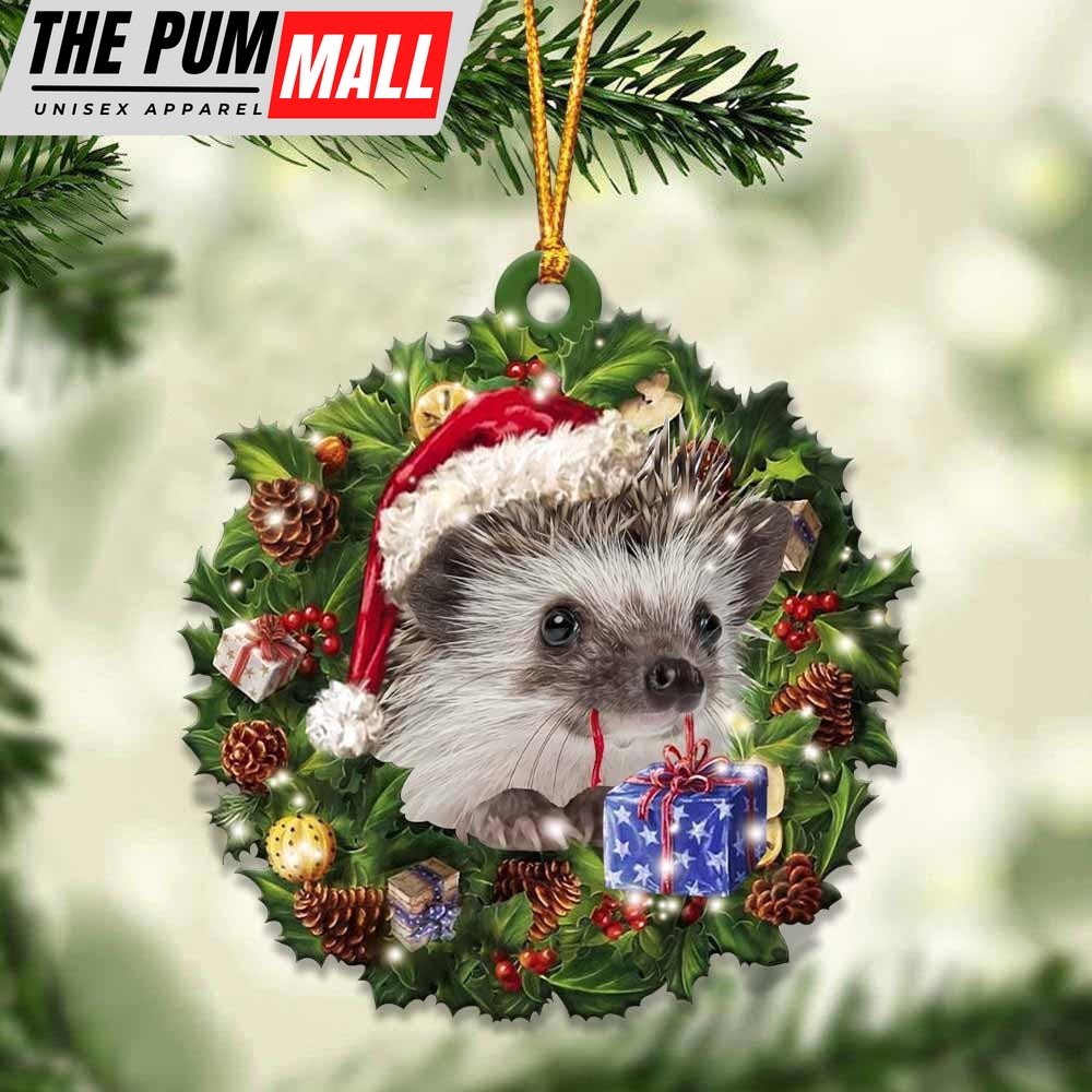 Hedgehog And Christmas Ornament – Acrylic Dog Ornament – Gifts For Dog Lovers Limited Edition