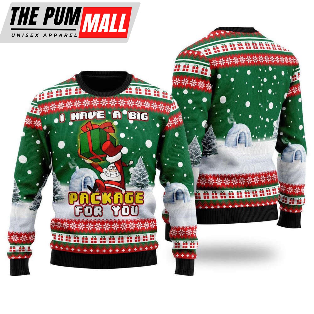 I Have A Big Package For You Christmas Ugly Christmas Sweater For Family