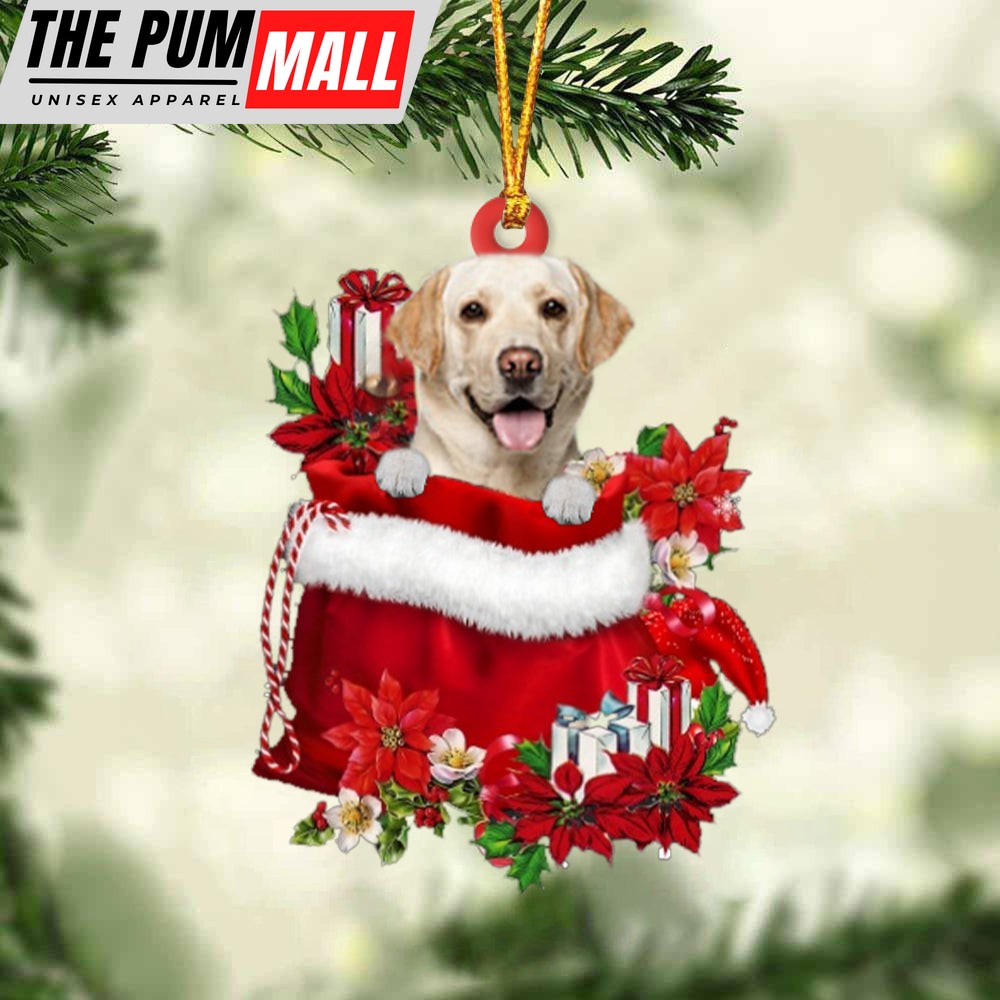 Labrador Retriever In Gift Bag Christmas Ornament – Car Ornaments – Gift For Dog Lovers Limited Edition