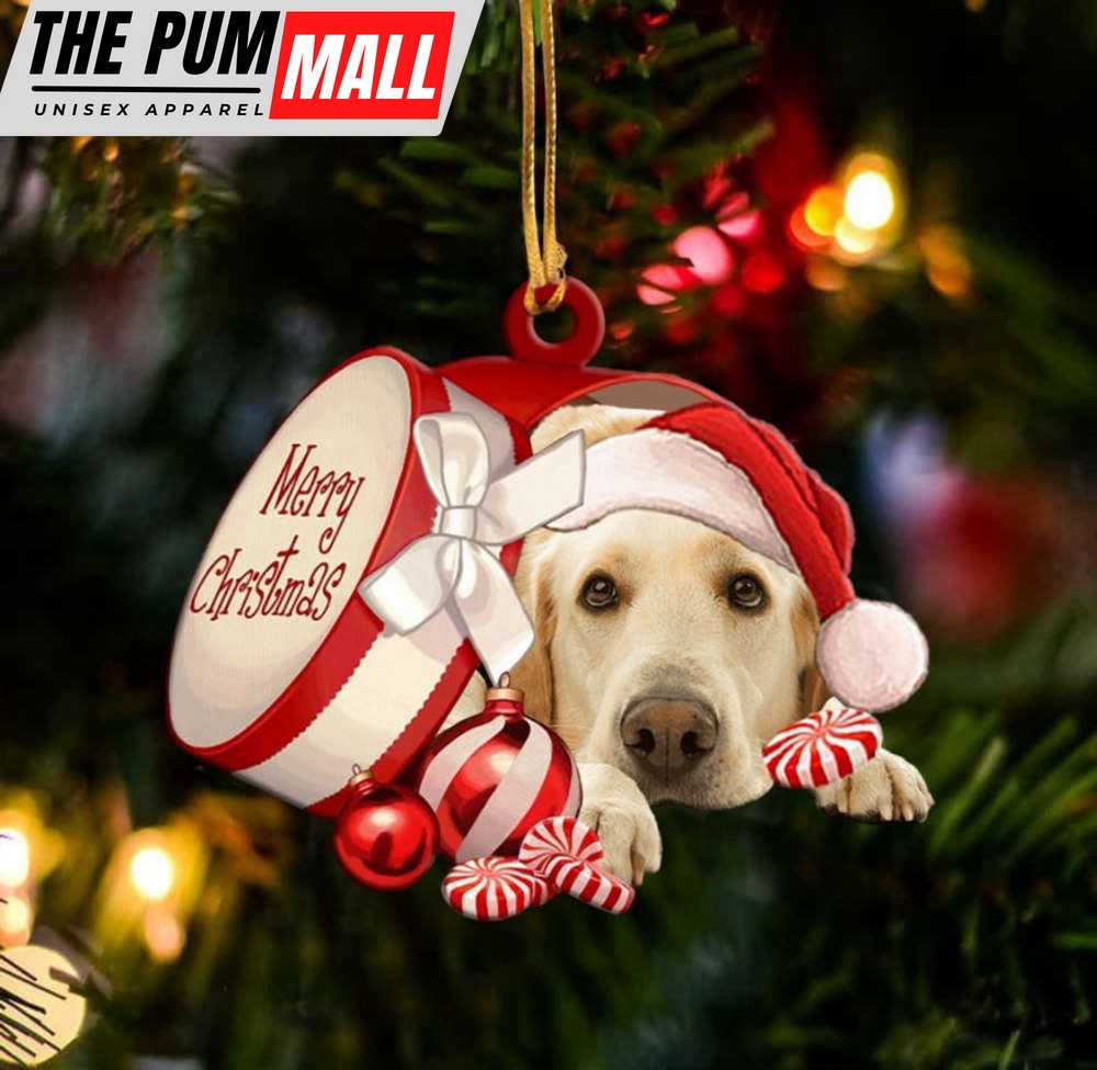 Labrador Retriever Out Of Merry Christmas Box Ornament Dog Lover Christmas Tree Limited Edition