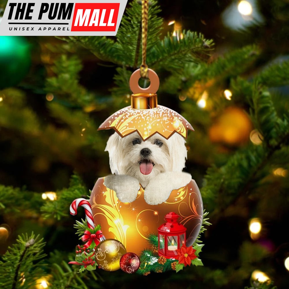 Maltese In Golden Egg Christmas Ornament – Car Ornament – Unique Dog Gifts For Owners Limited Edition