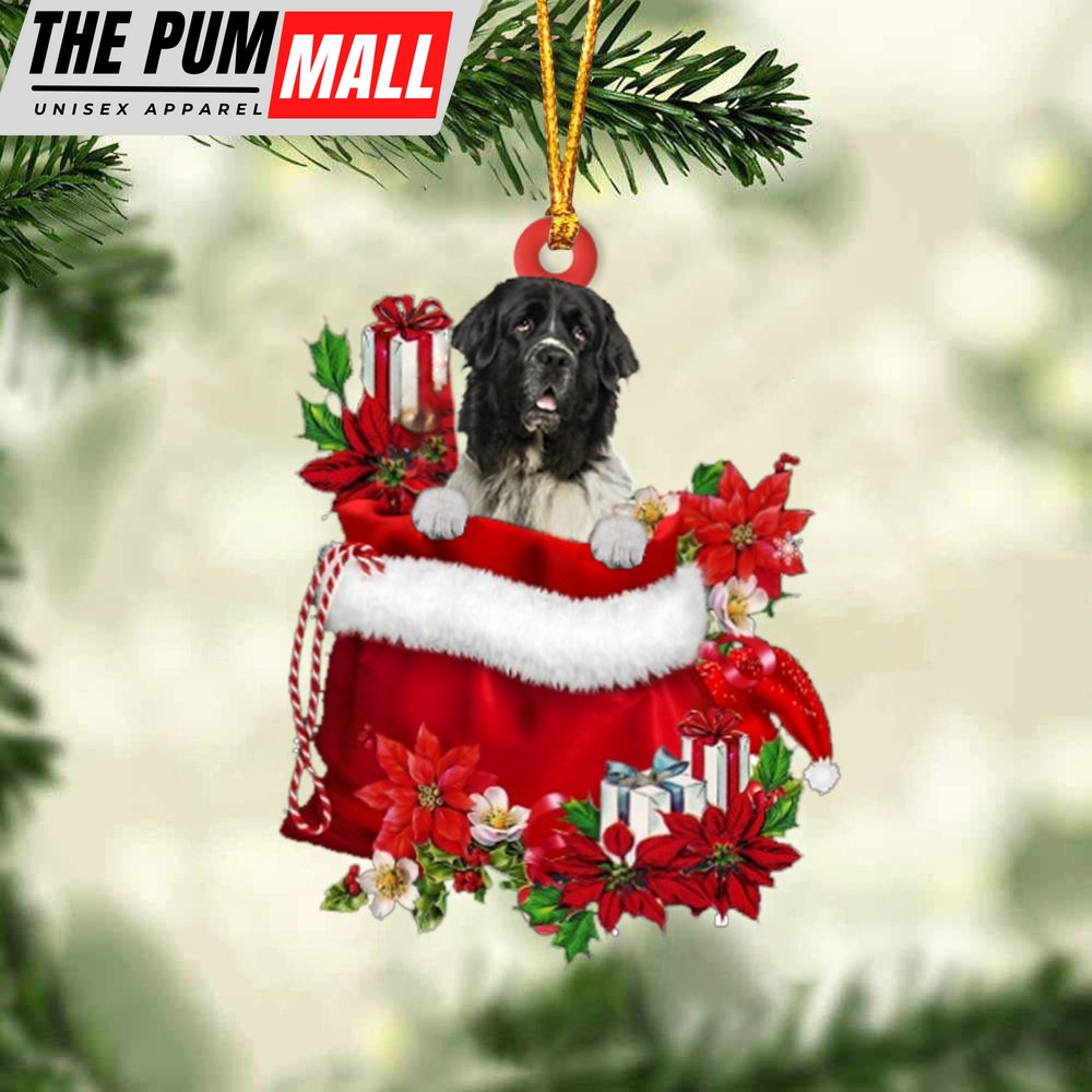Newfounderland In Gift Bag Christmas Ornament – Car Ornaments – Gift For Dog Lovers Limited Edition