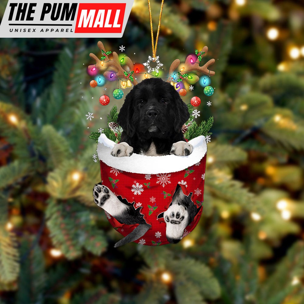 Newfoundland 1 In Snow Pocket Christmas Ornament – Two Sided Christmas Plastic Hanging Limited Edition