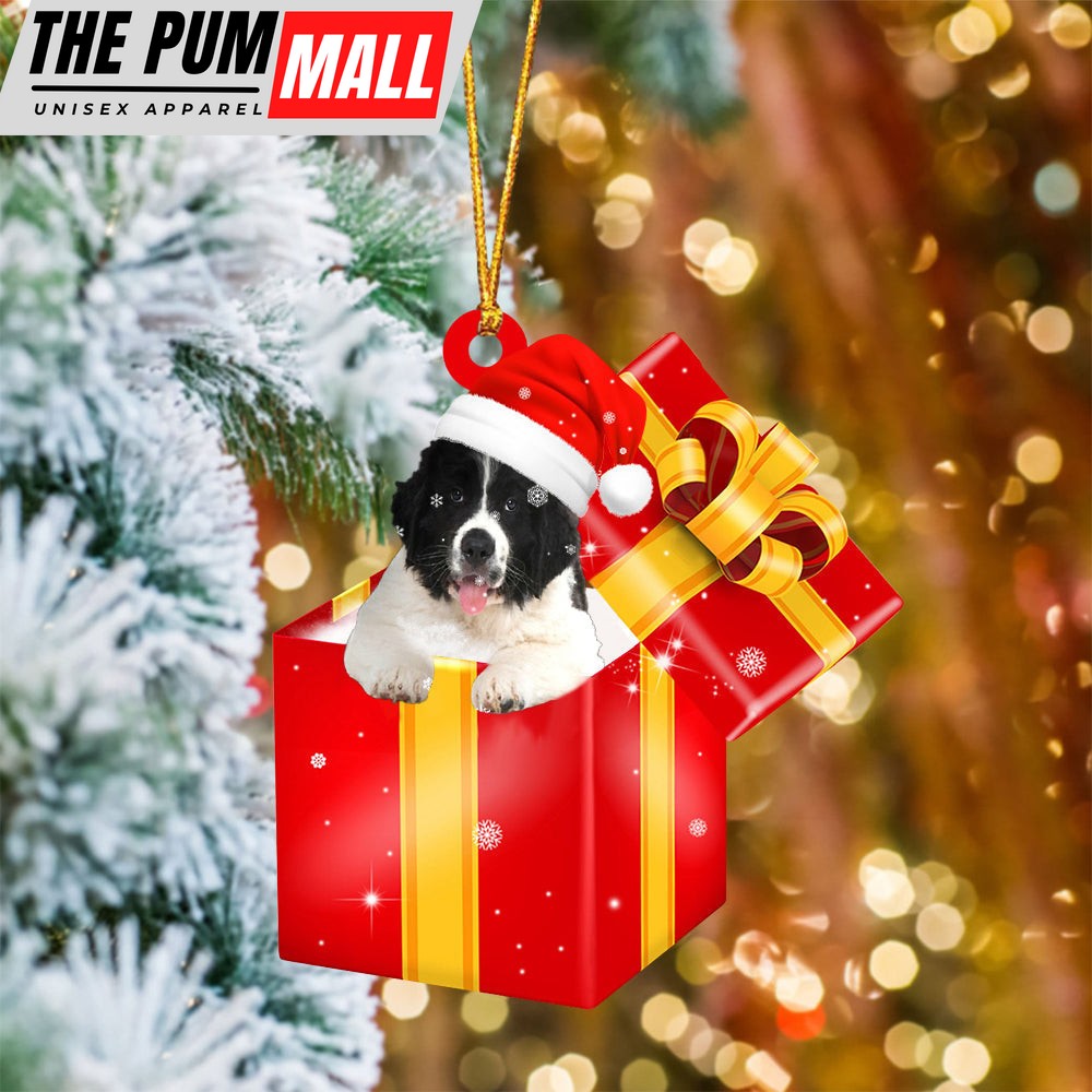 Newfoundland In Red Gift Box Christmas Ornament – Holiday Dog Ornaments Limited Edition