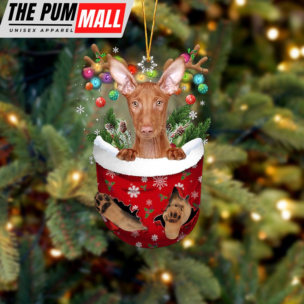 Pharaoh Hound In Snow Pocket Christmas Ornament – Two Sided Christmas Plastic Hanging Limited Edition