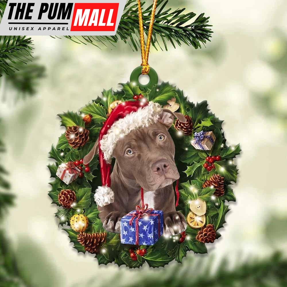Pitbull And Christmas Gift For Her Gift For Him Gift For Pitbull Lover Ornament_8125 Limited Edition