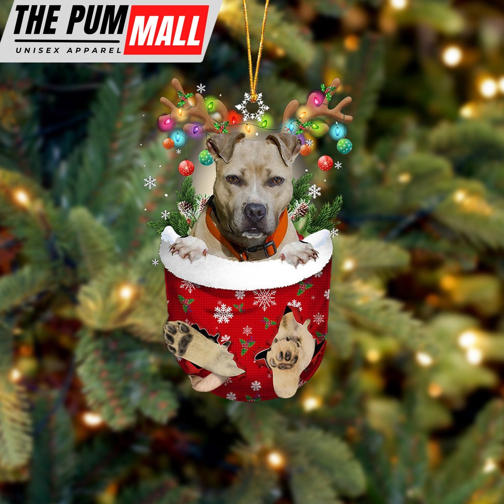Pitbulll 02 In Snow Pocket Christmas Ornament – Two Sided Christmas Plastic Hanging Limited Edition