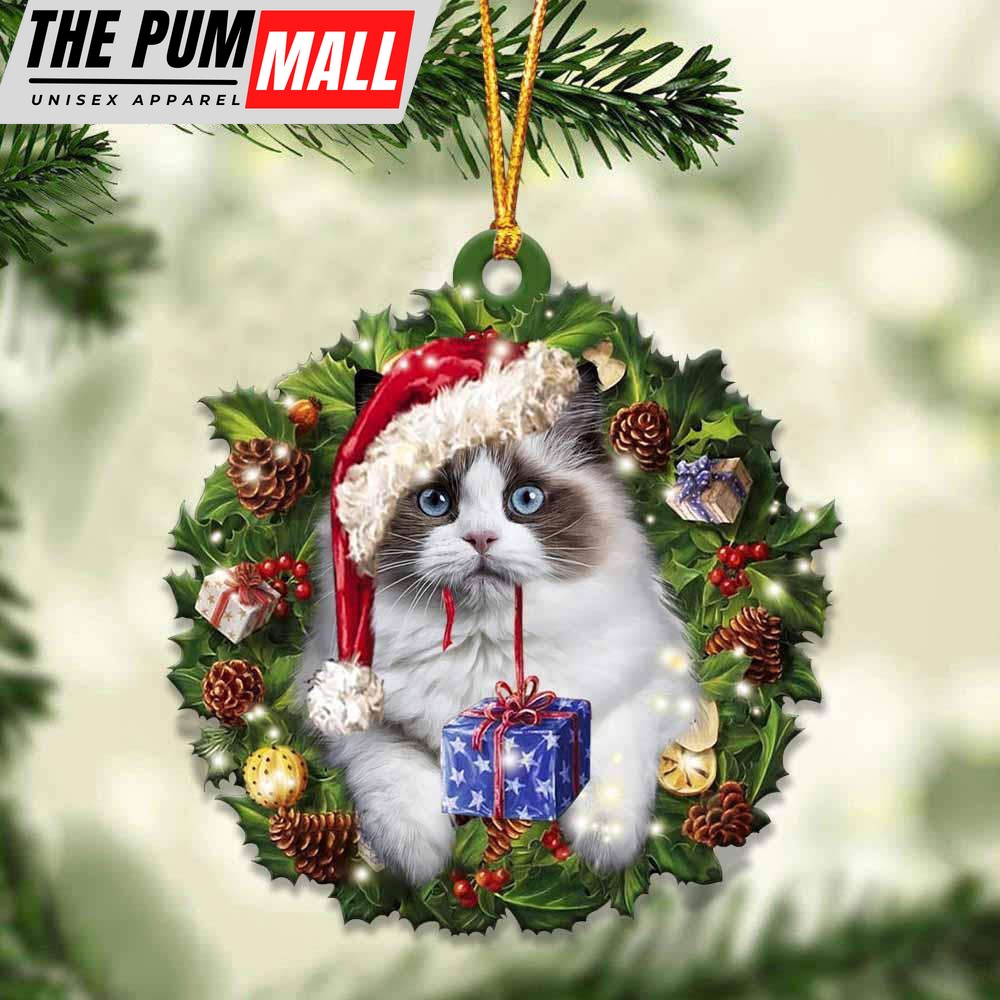 Ragdoll And Christmas Ornament 2023 Christmas Tree Ornaments, Gift For Cat Lover Limited Edition