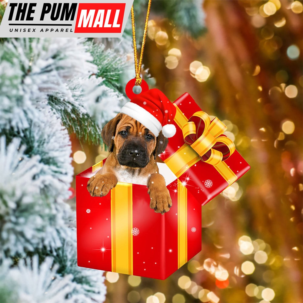 Rhodesian Ridgeback In Red Gift Box Christmas Ornament – Holiday Dog Ornaments Limited Edition