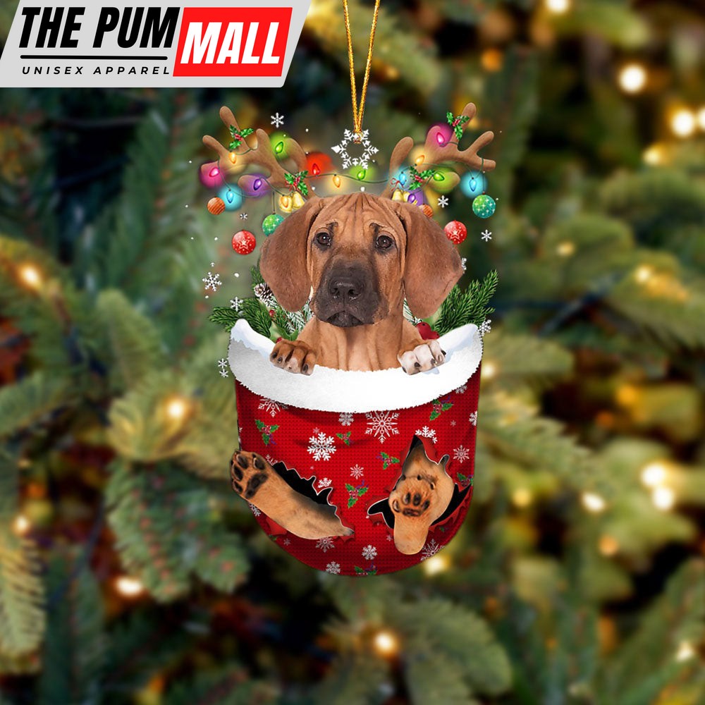 Rhodesian Ridgeback In Snow Pocket Christmas Ornament – Two Sided Christmas Plastic Hanging Limited Edition