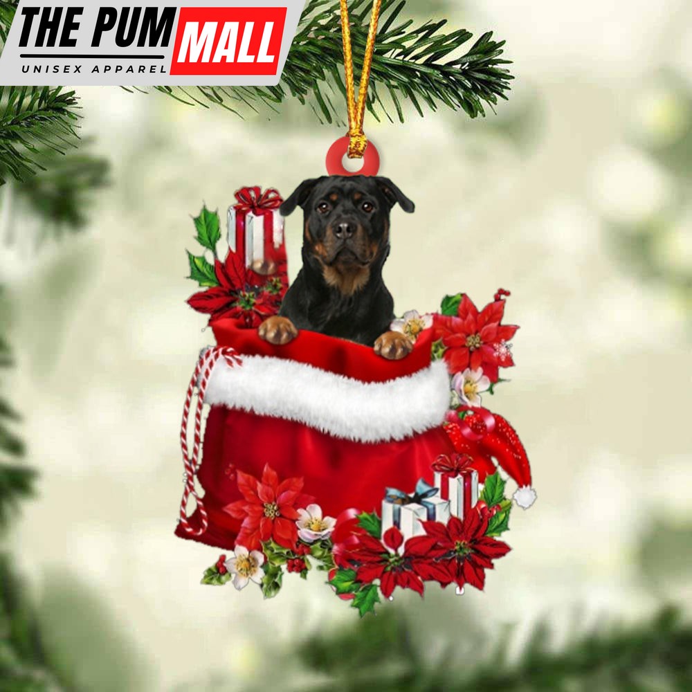 Rottweiler 2 In Gift Bag Christmas Ornament – Car Ornaments – Gift For Dog Lovers Limited Edition