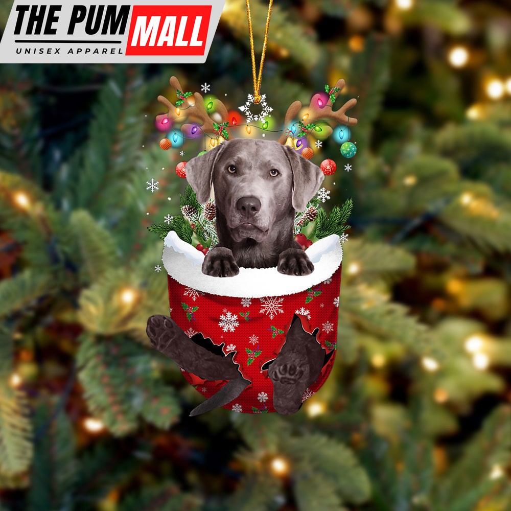 Silver Labrador In Snow Pocket Christmas Ornament – Two Sided Christmas Plastic Hanging Limited Edition