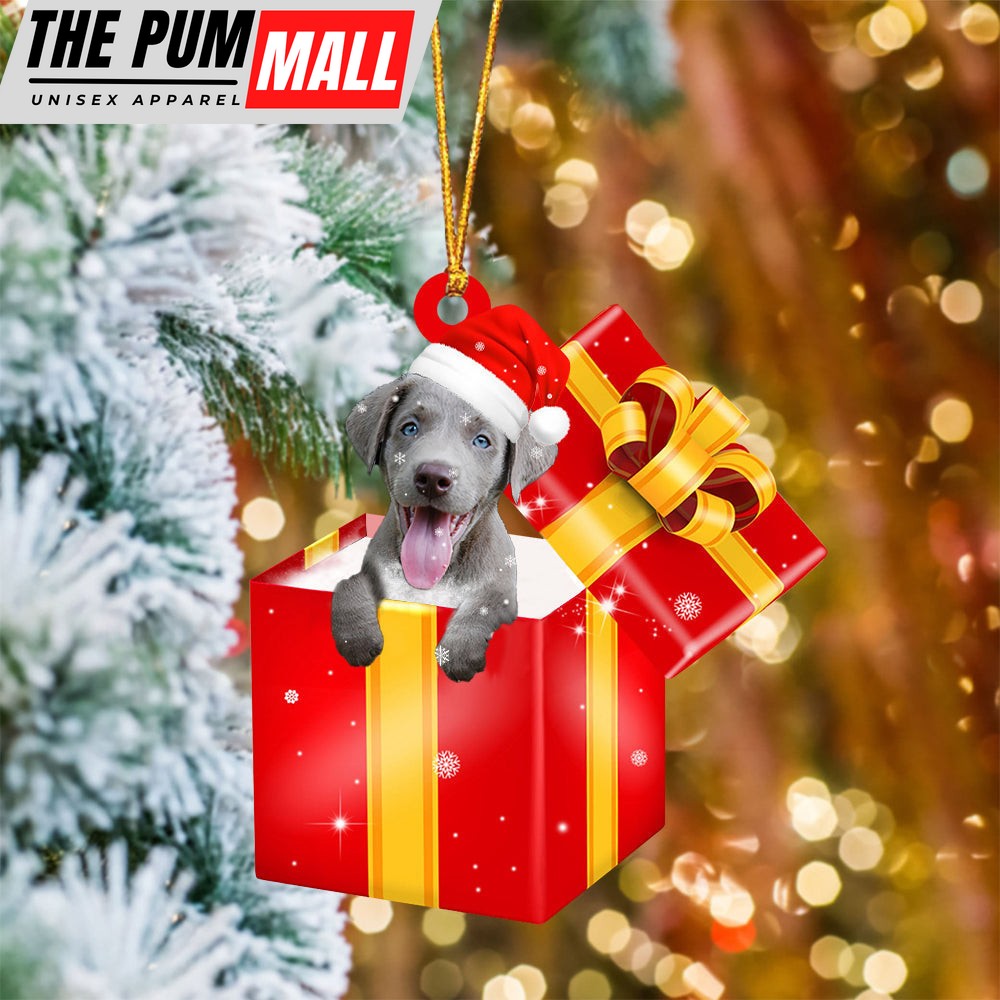 Weimaraner In Red Gift Box Christmas Ornament – Holiday Dog Ornaments Limited Edition
