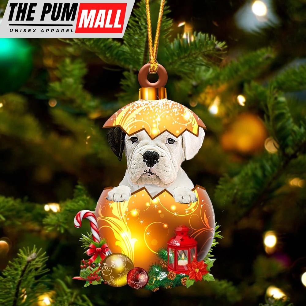 White Boxer In Golden Egg Christmas Ornament – Car Ornament – Unique Dog Gifts For Owners Limited Edition