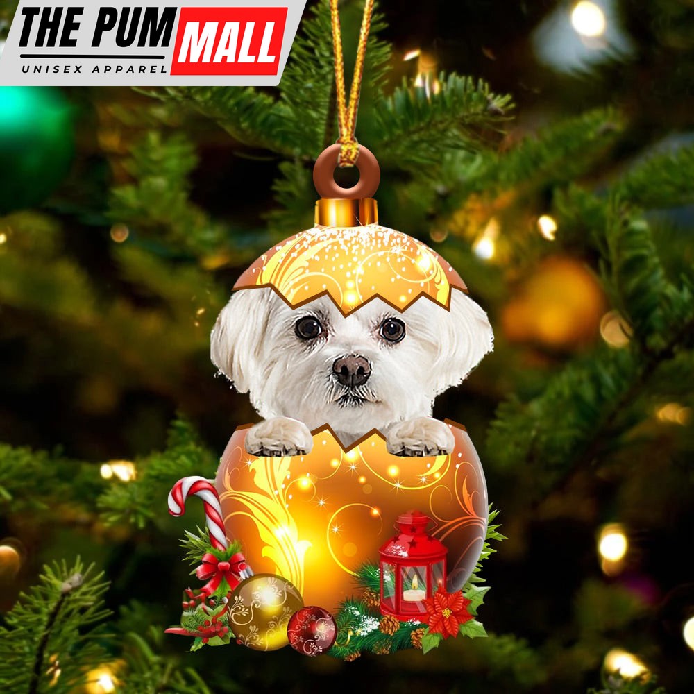 White Maltese In Golden Egg Christmas Ornament – Car Ornament – Unique Dog Gifts For Owners Limited Edition