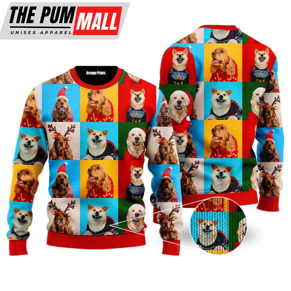 Winter Is Here Dog Ugly Christmas Sweater For Men & Women